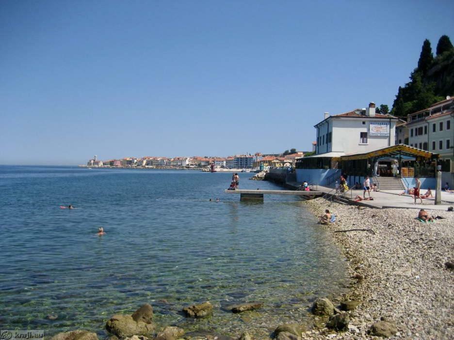 Appartement Lunaja *